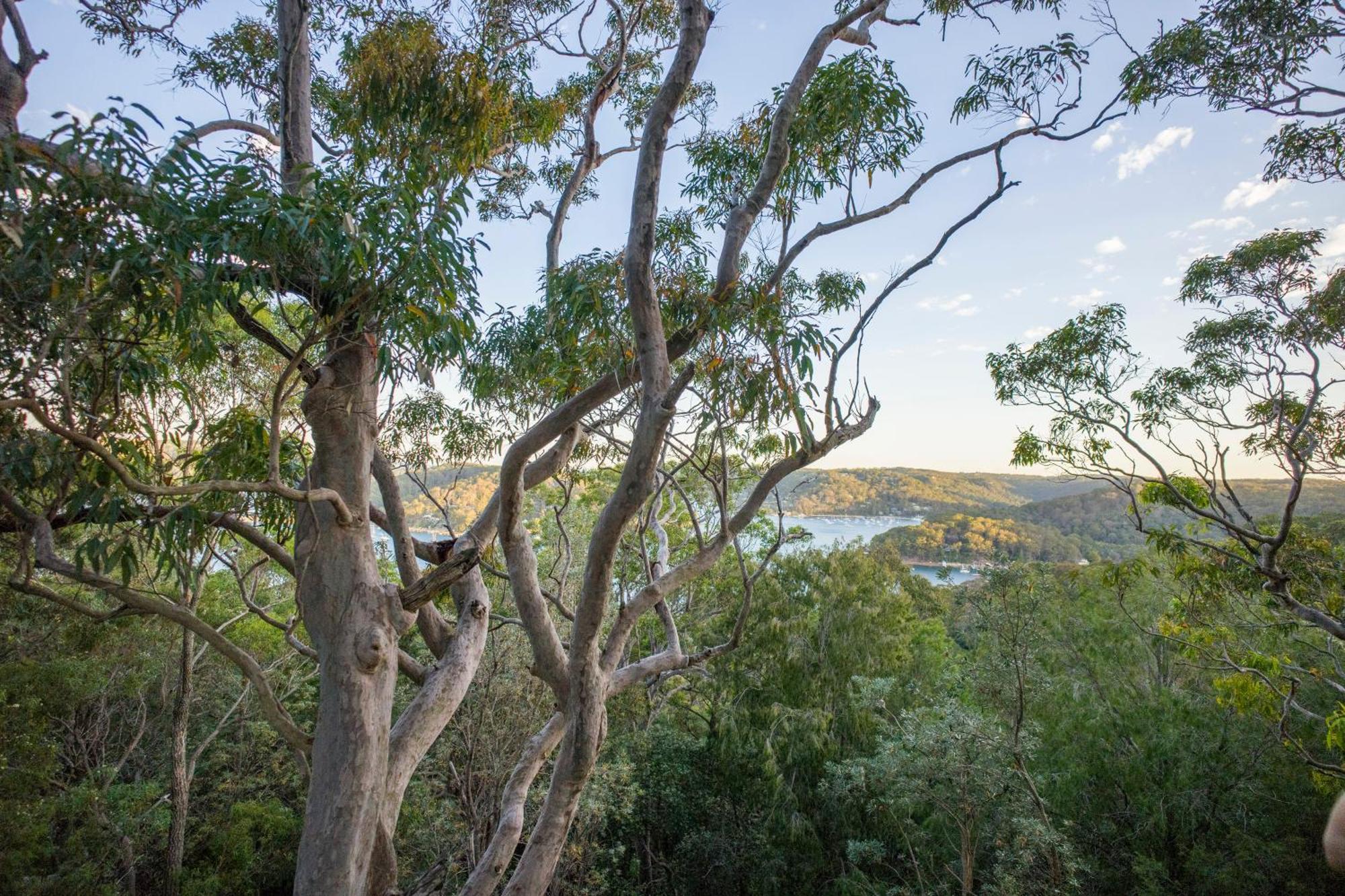 Yha Pittwater Eco, Sydney Hostel Church Point Exterior foto